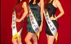 天涯论坛重庆版